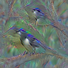 n01582220 magpie